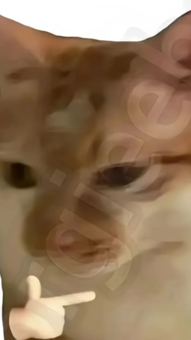 ai character: ￼Cat background