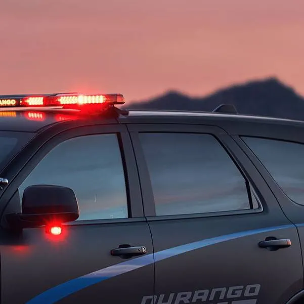 chat with ai character: petroling police