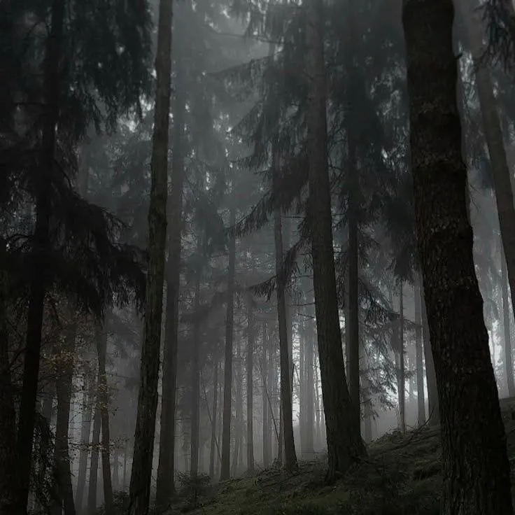 chat with ai character: ⊹CREEPYPASTA⊹