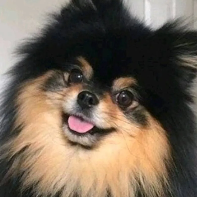 chat with ai character: Yeontan