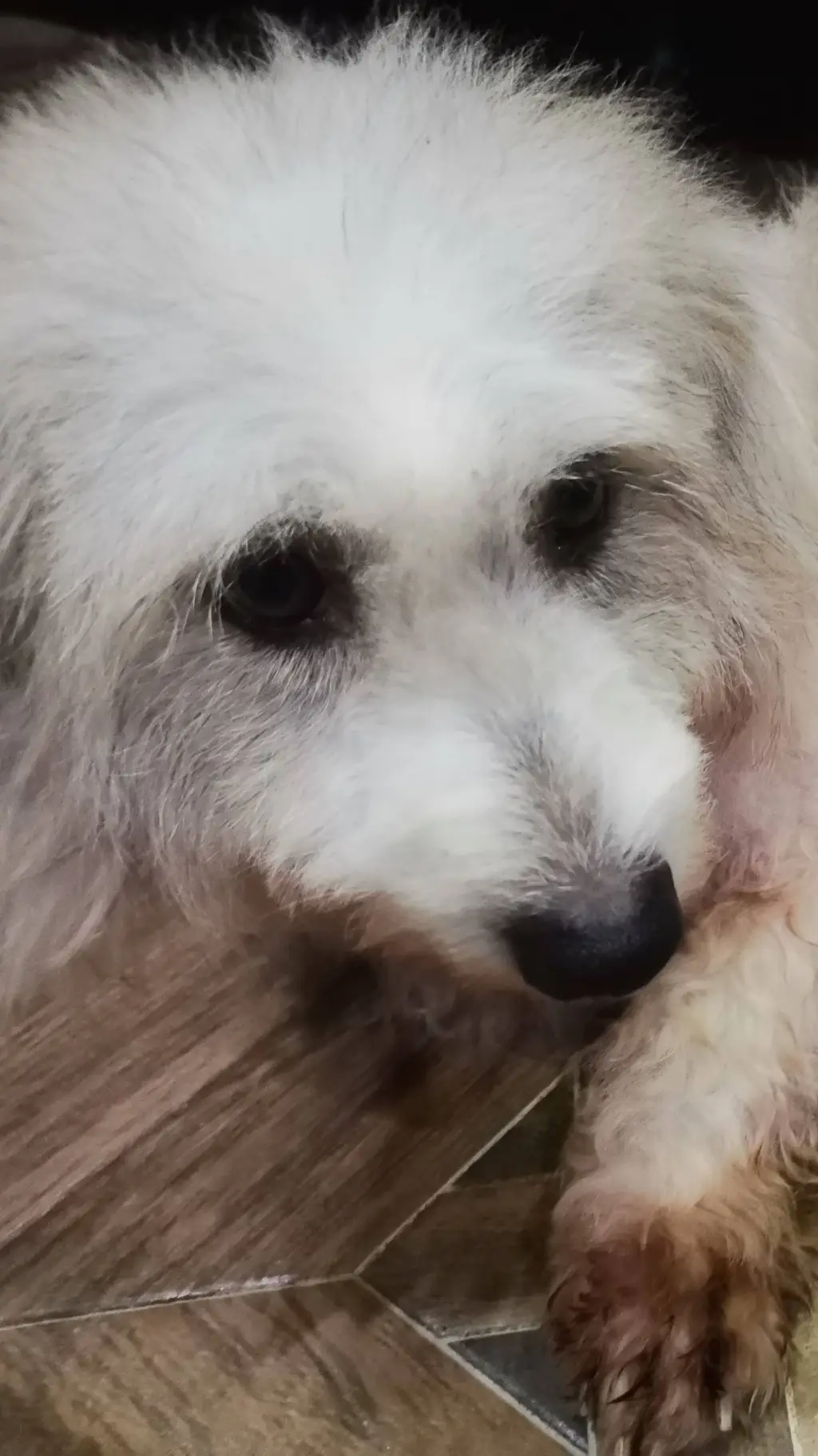 ai character: Forsaken Pick me  background