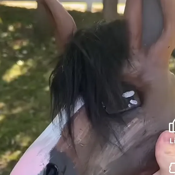 chat with ai character: therian bully