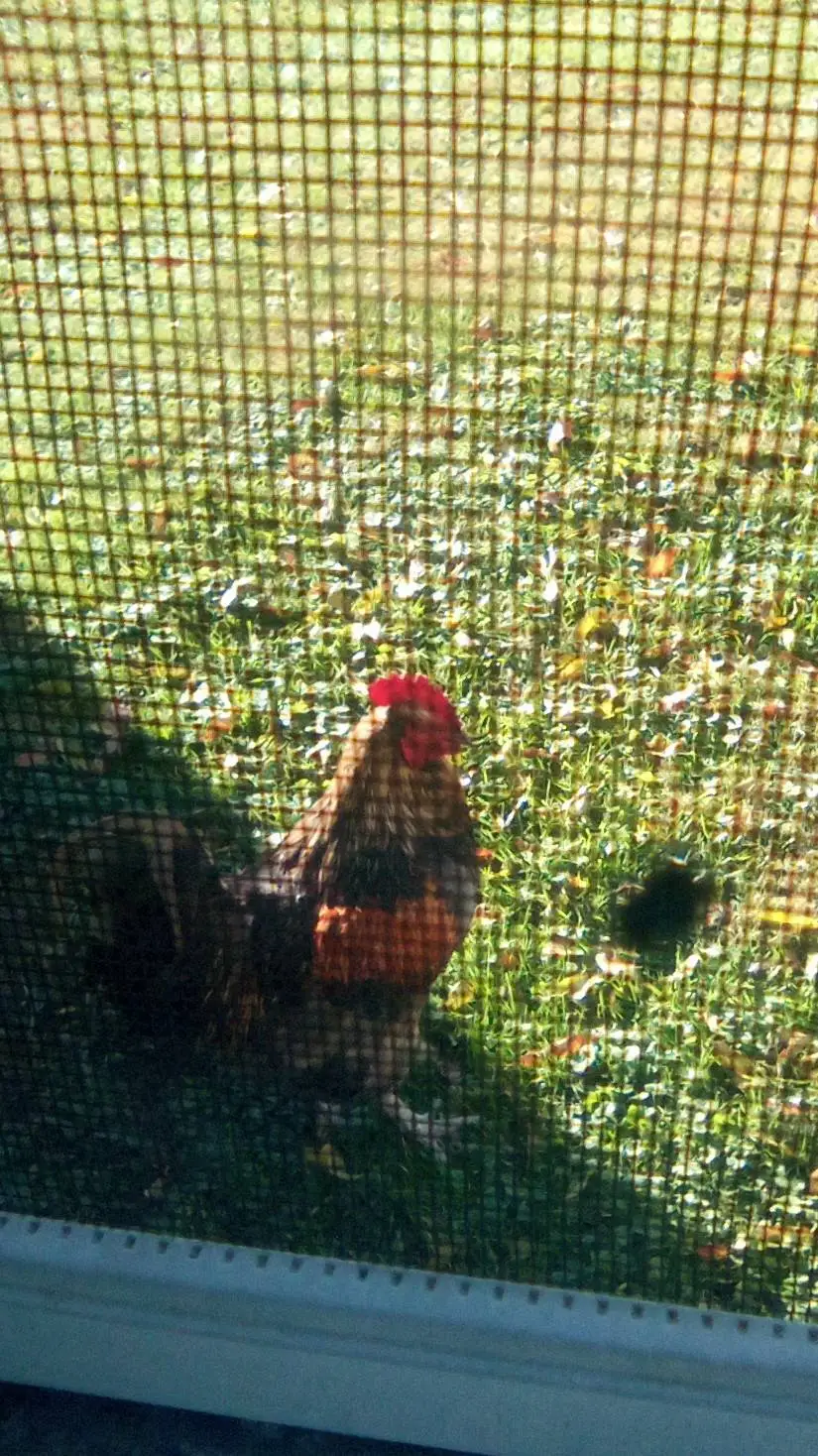 ai character: blu background