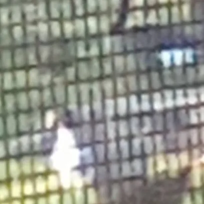 chat with ai character: gray duck