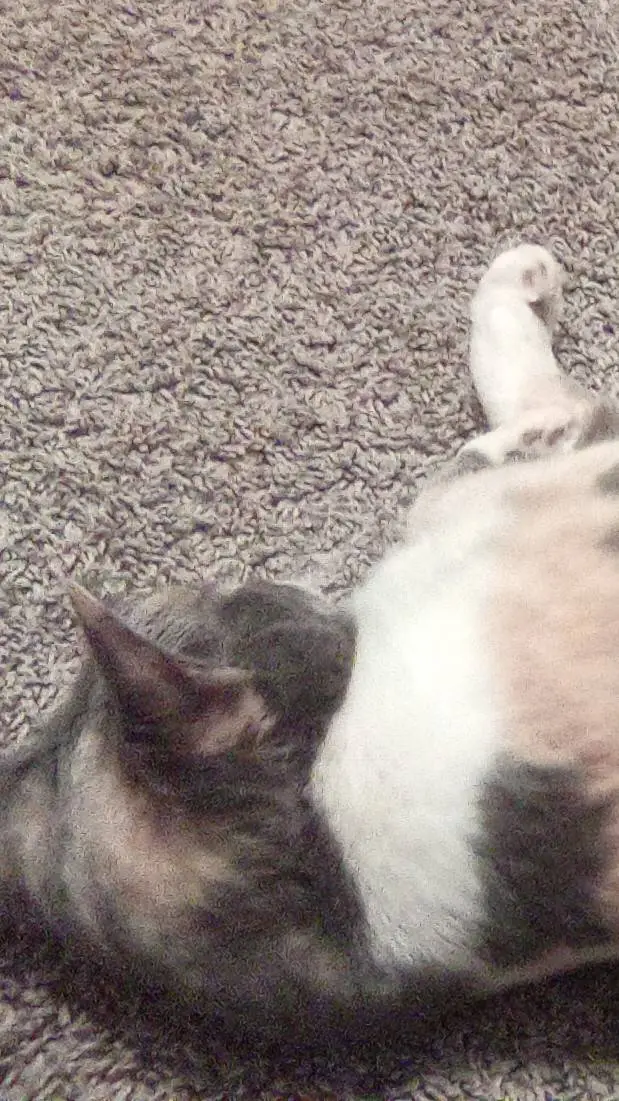 ai character: crazy day background