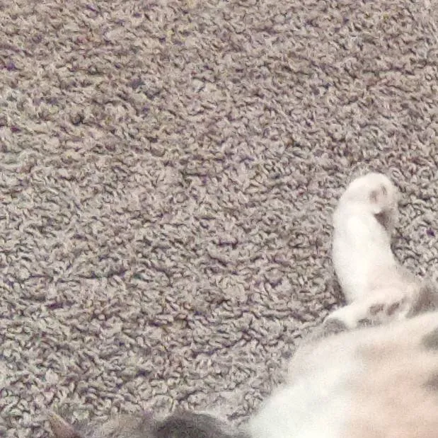 chat with ai character: crazy day