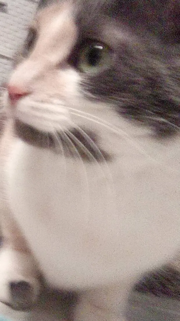 ai character: tannerites  background