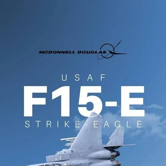 chat with ai character: McDonnell F-15E