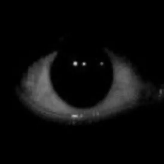 chat with ai character: He’s coming
