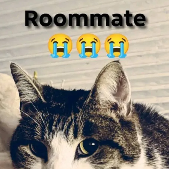 chat with ai character: India school