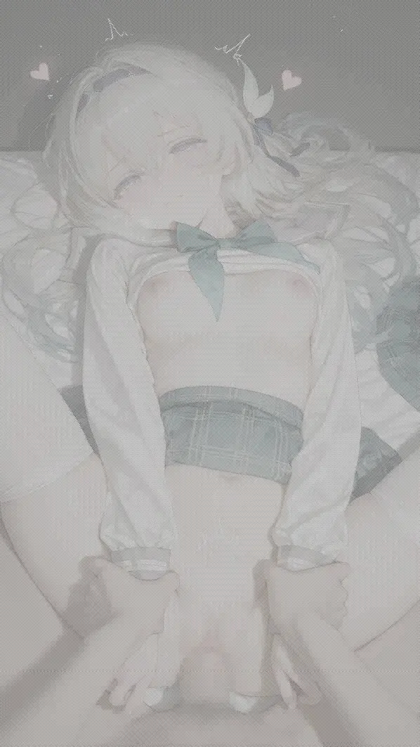 Talkie AI - Chat with Firefly 