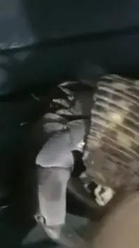 ai character: hermit crab background