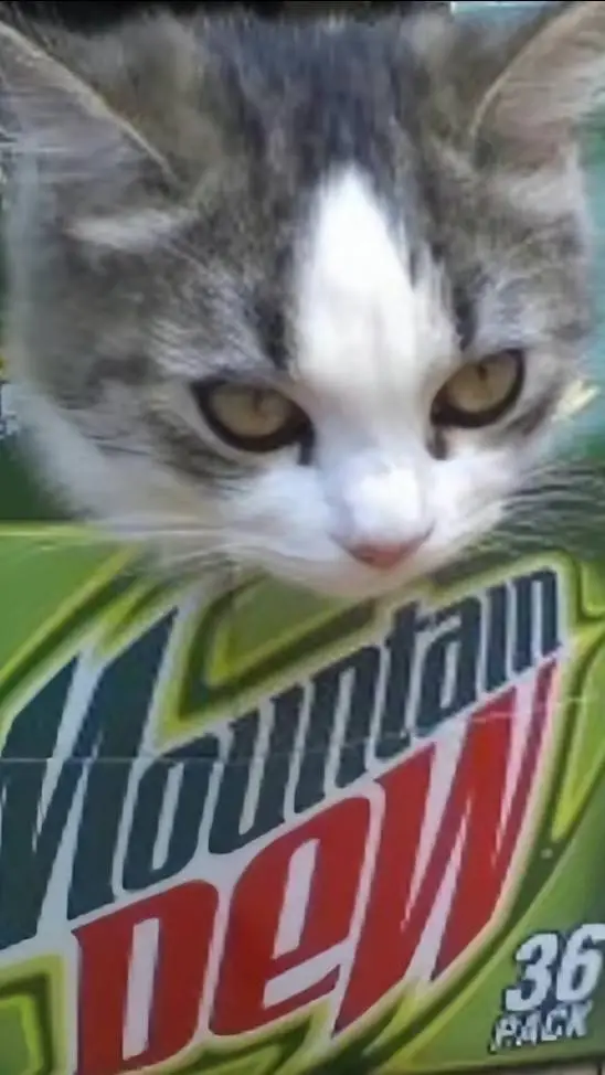 ai character: Mountain Dew Cat background