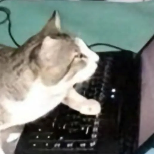 chat with ai character: Computer Cat