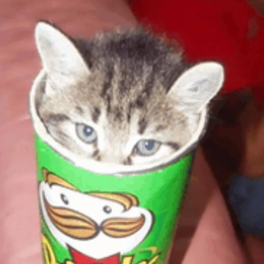 chat with ai character: Pringles Cat