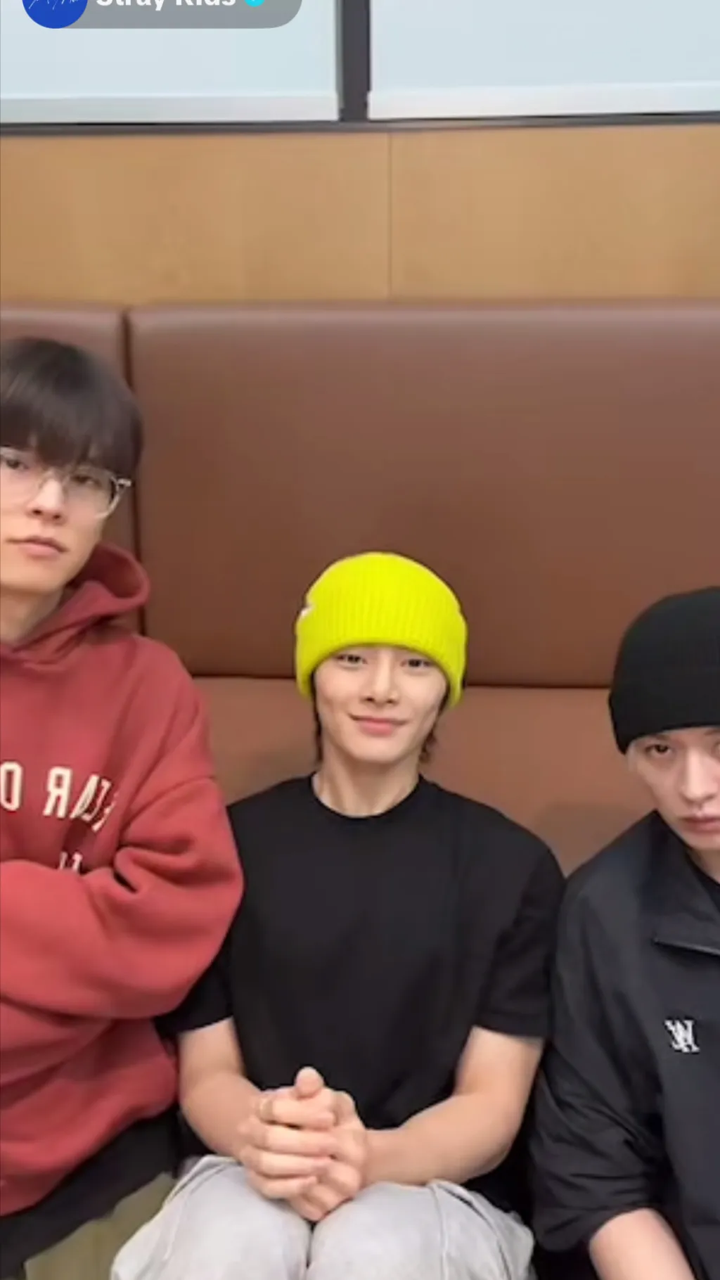 ai character: StrayKids. background