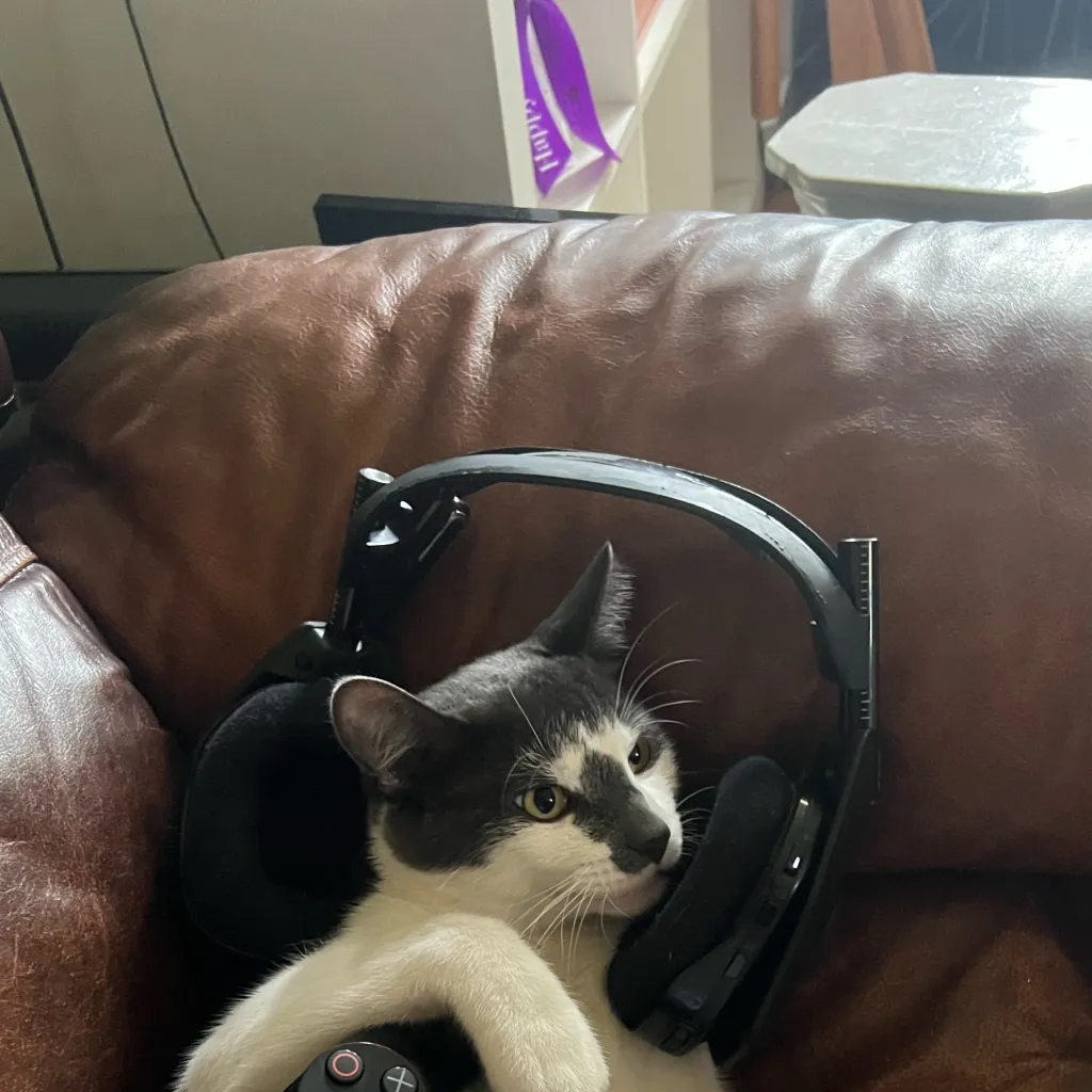 chat with ai character: Gamer Cat