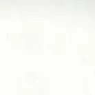 chat with ai character: 5