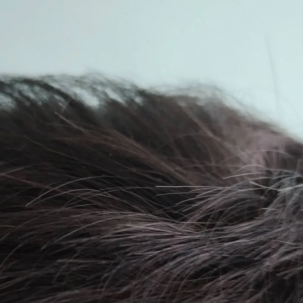 chat with ai character: soy mujer 