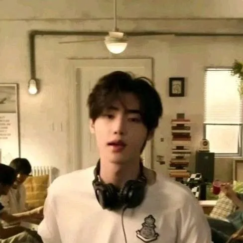 chat with ai character: sunghoon park🐧💗