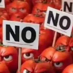 chat with ai character: tomates