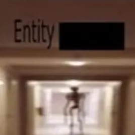 chat with ai character: Entity ■■