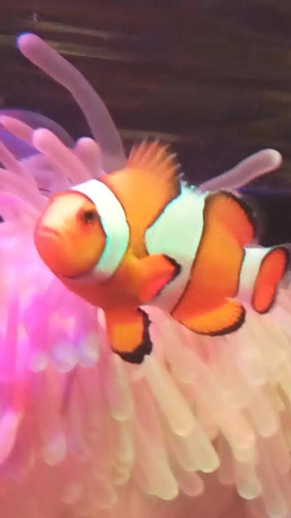 ai character: clowny background