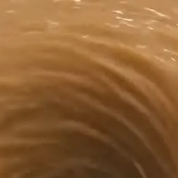 chat with ai character: Brown water hole