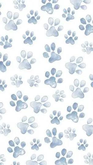 ai character: birth background