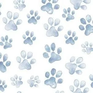 chat with ai character: birth