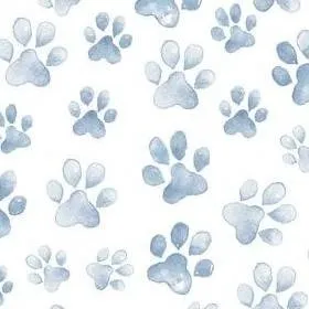 chat with ai character: circuse animals