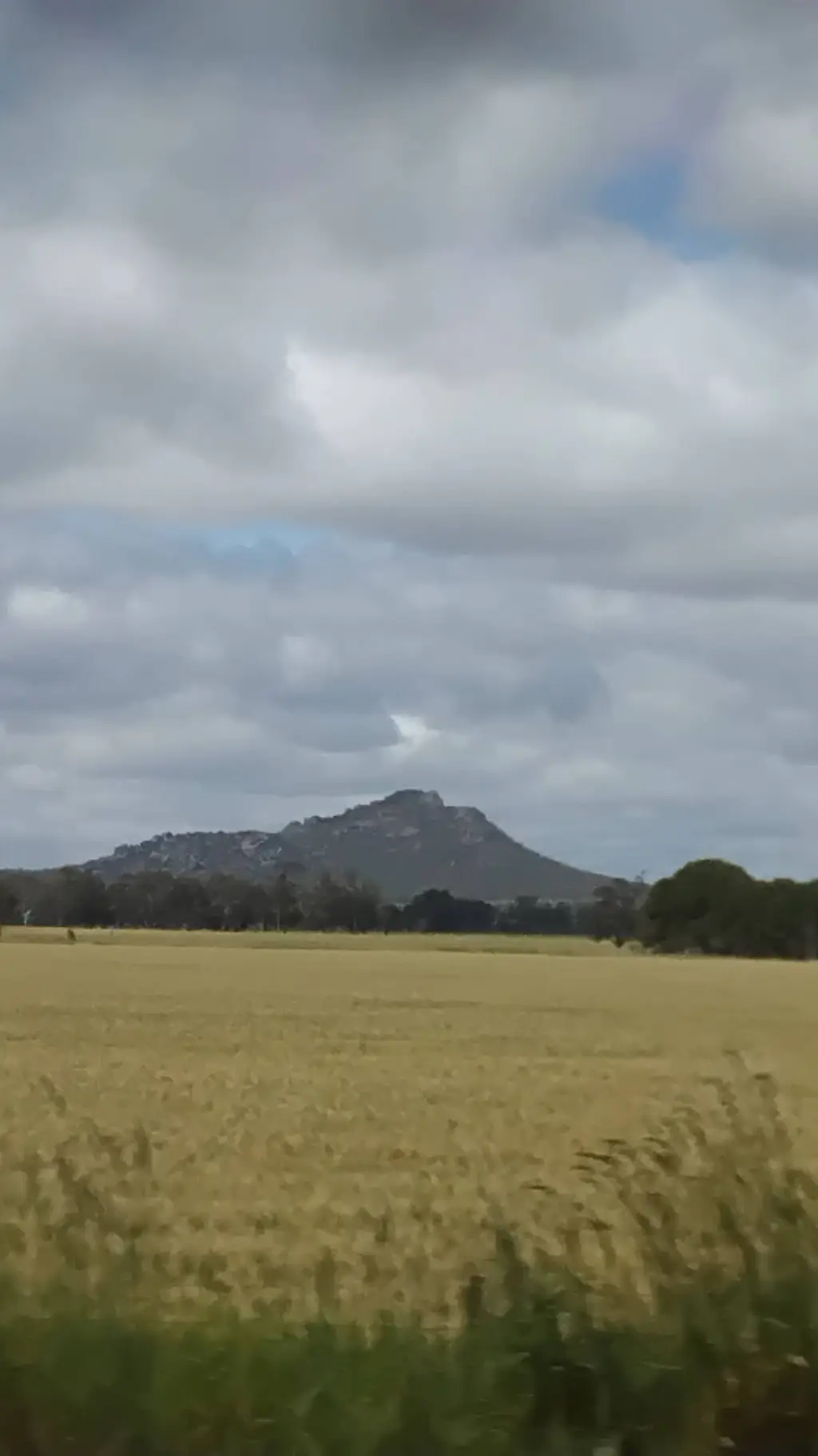 ai character: schooL background