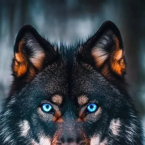 chat with ai character: wolf life