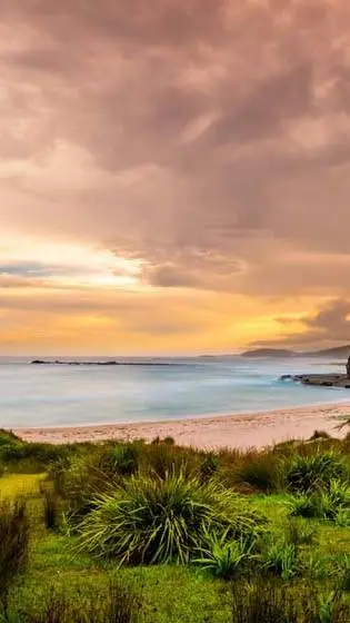 ai character: hospotal  background