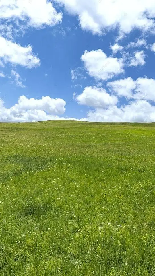 ai character: Dream background