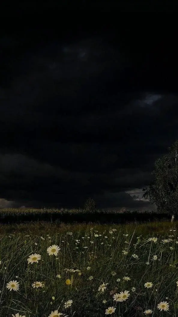 ai character: Lily background