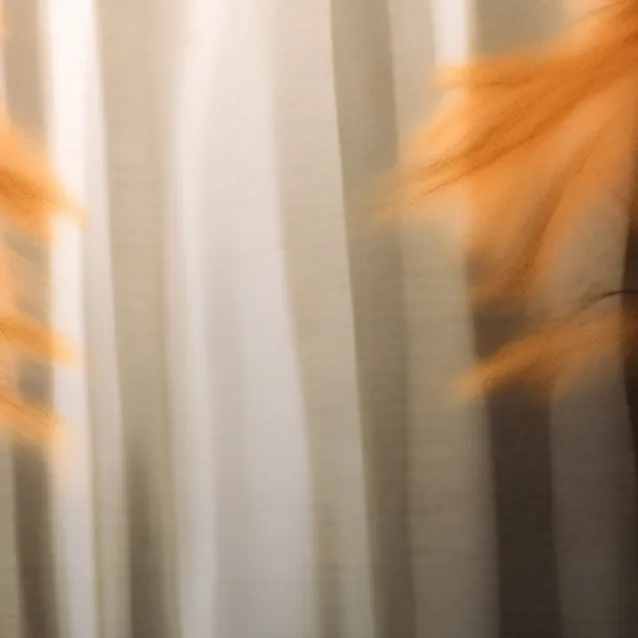 chat with ai character: מלך התינוקים