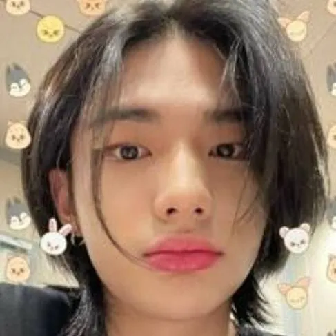 chat with ai character: Huwang hyunjin❤️🦦