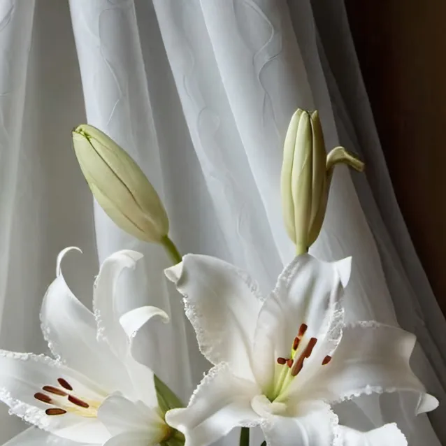 chat with ai character: Tvd roadtrip!