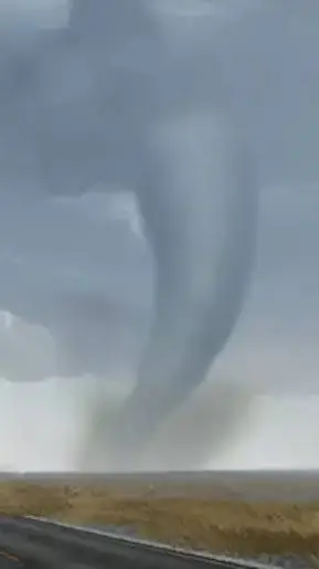 ai character: 🌪️Helicity Exp🌪️ background