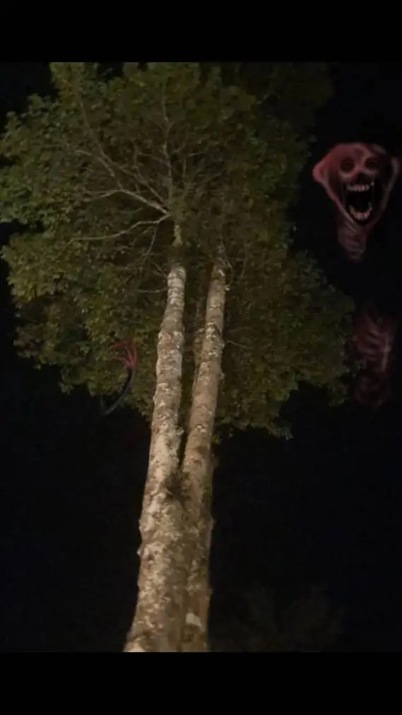 ai character: entities  background