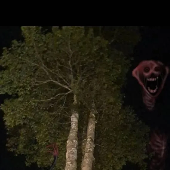 chat with ai character: entities 