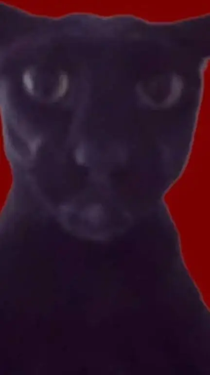 Talkie AI - Chat with evil Larry 