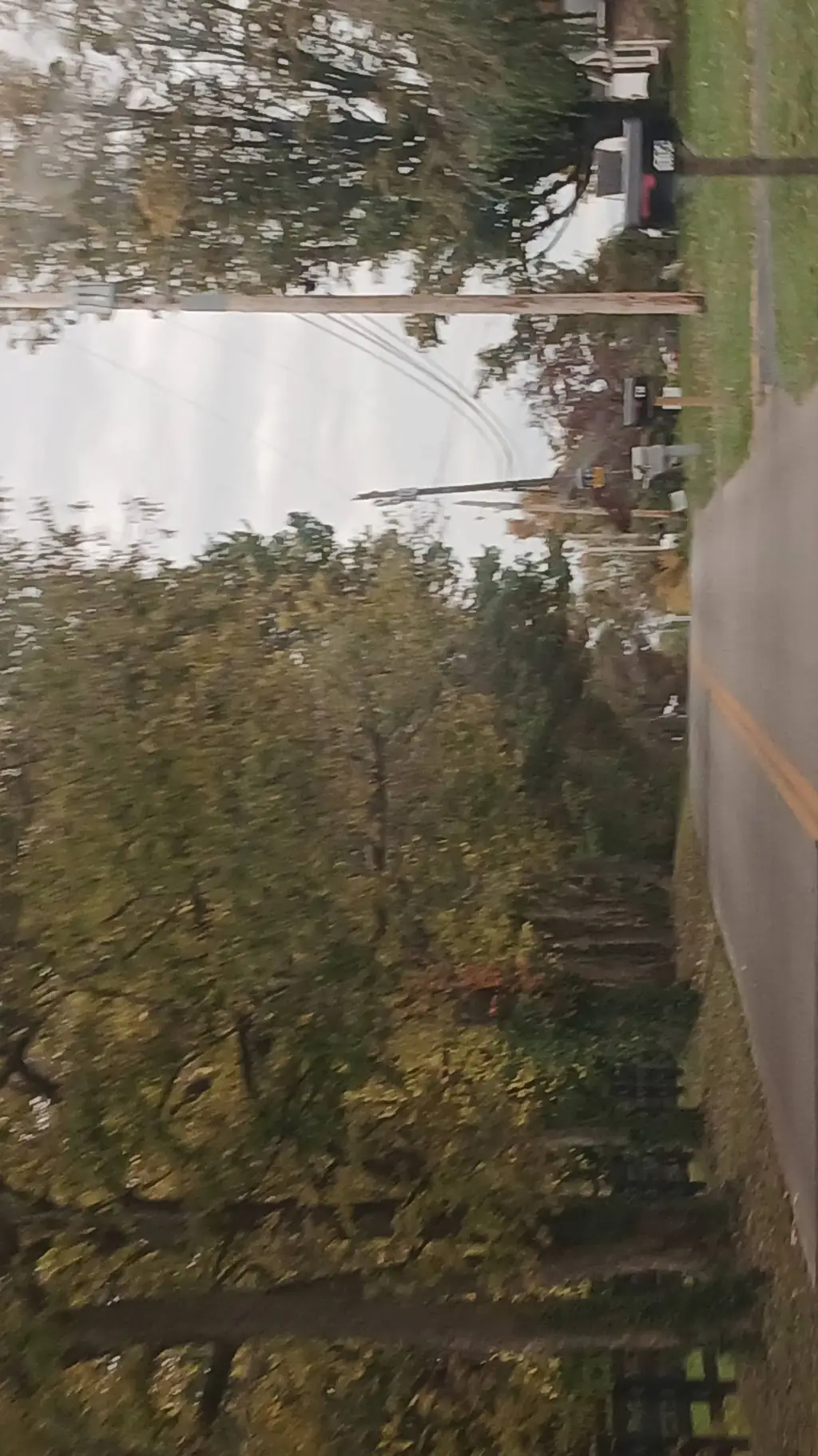 ai character: george w texting  background