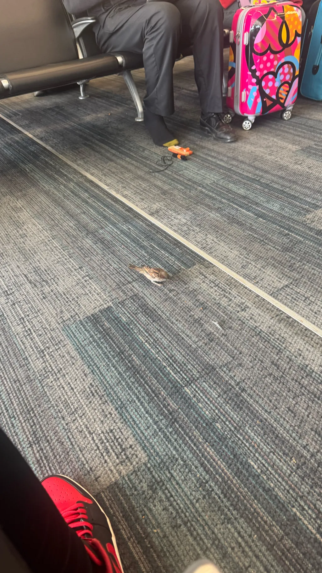 ai character: Mya background