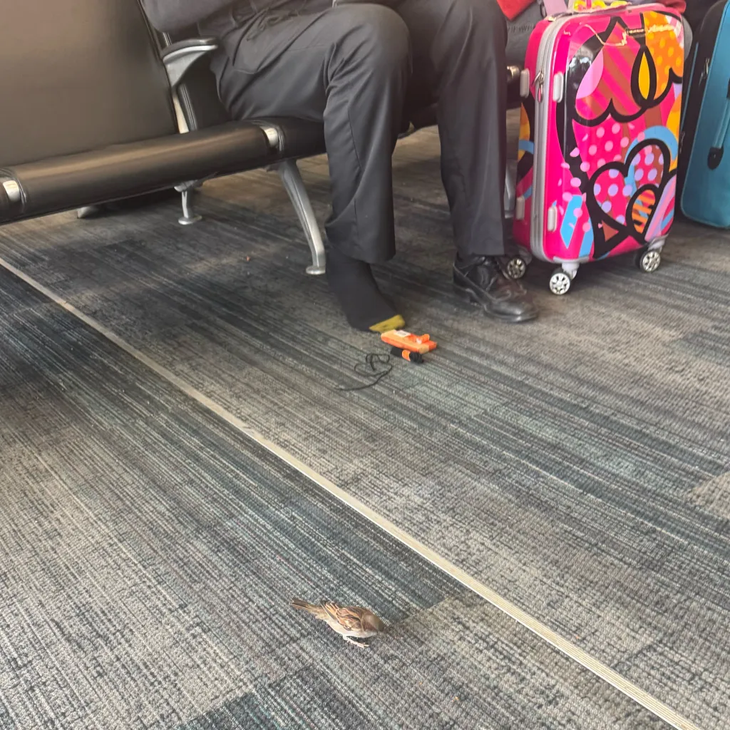 chat with ai character: Mya