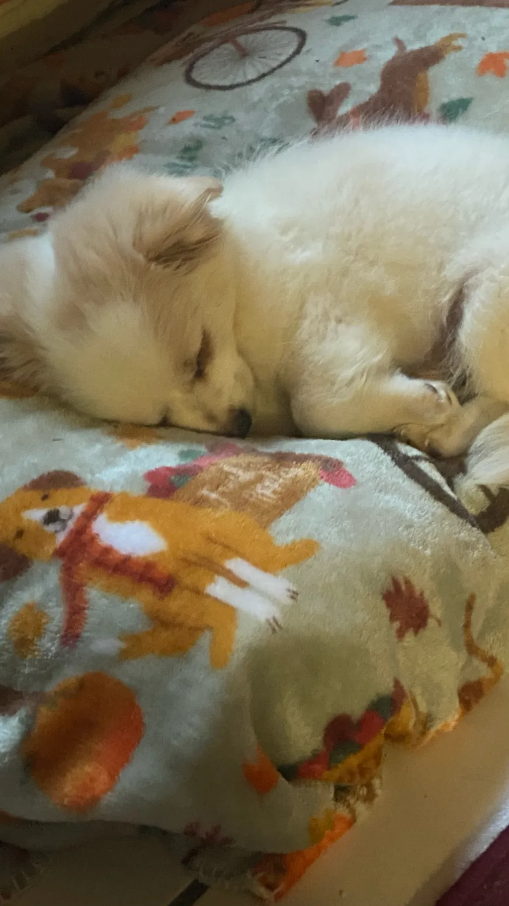 ai character: Miles ♡  background