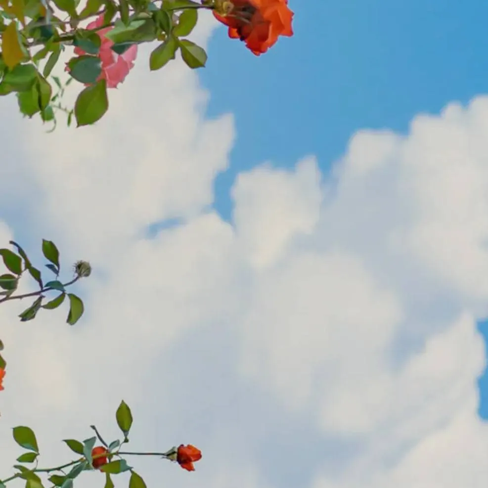 chat with ai character: rubikia 🥹