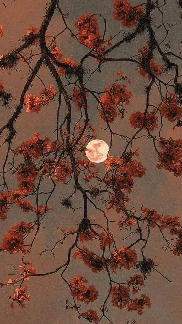 ai character: Zephir Heywing background