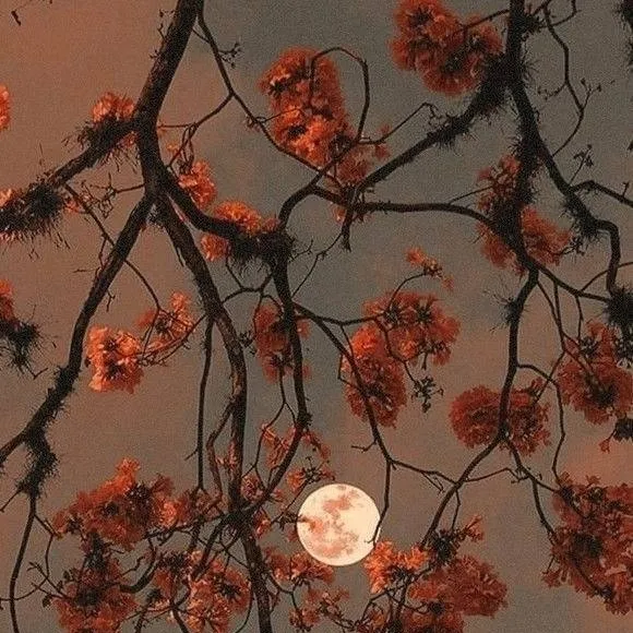 chat with ai character: Zephir Heywing